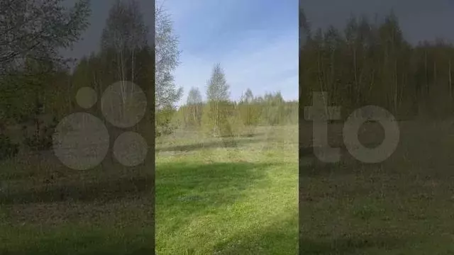 Участок 8 га (СНТ, ДНП) - Фото 1