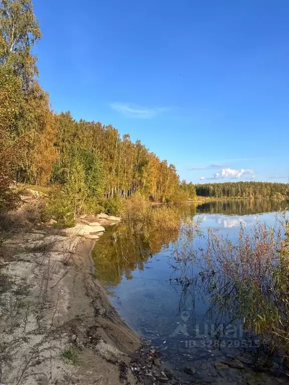 Участок в Челябинская область, Аргаяшский муниципальный округ, Заря ... - Фото 2