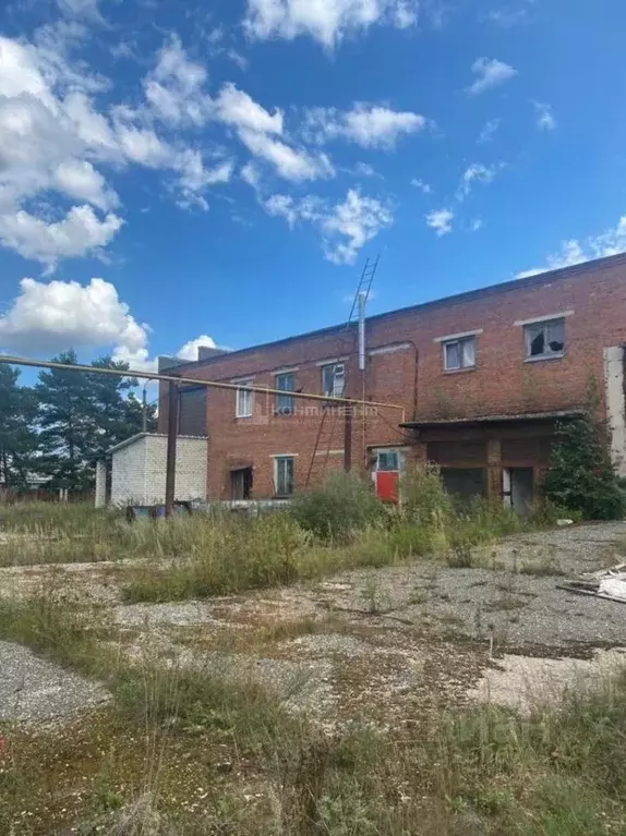 Производственное помещение в Владимирская область, Покров ул. Франца ... - Фото 2