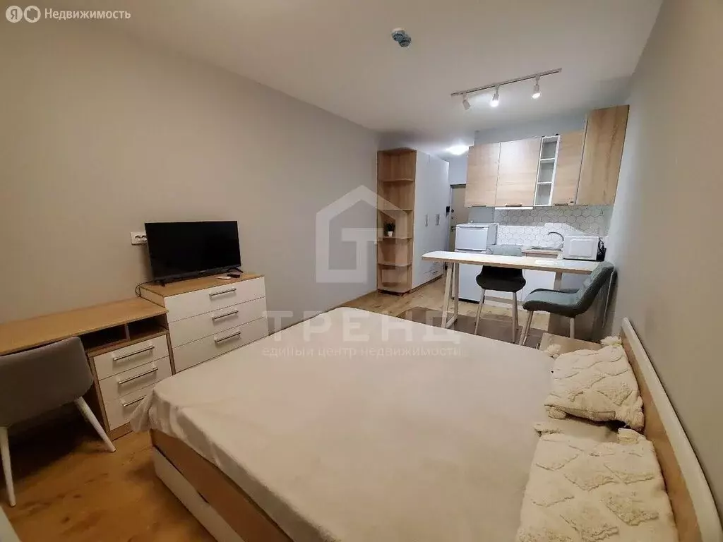 Квартира-студия: посёлок Парголово, Толубеевский проезд, 8к2 (22.6 м) - Фото 1