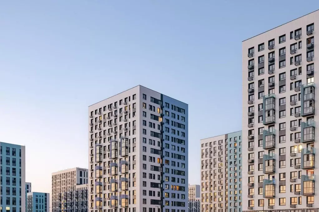 3-к кв. Московская область, Домодедово городской округ, с. Ям ... - Фото 2