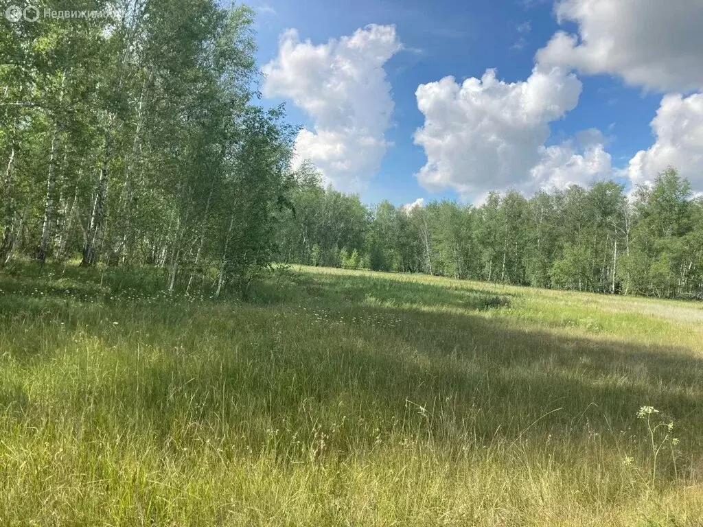 Участок в Омское сельское поселение, деревня Зеленовка (18 м) - Фото 0
