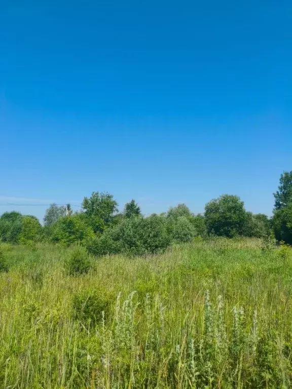 Участок в Московская область, Шатура муниципальный округ, с. Пустоша  ... - Фото 2