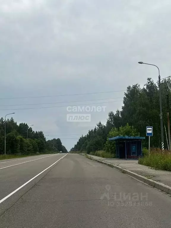 Торговая площадь в Московская область, Орехово-Зуевский городской ... - Фото 1