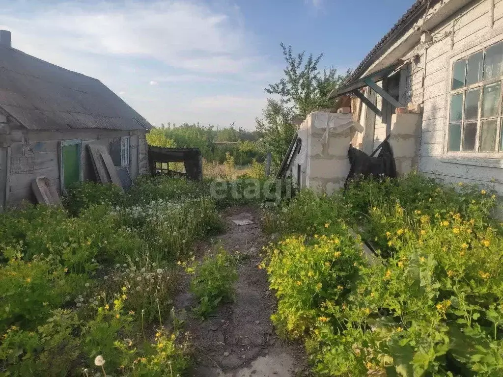 Дом в Белгородская область, Красногвардейский район, Засосенское ... - Фото 0