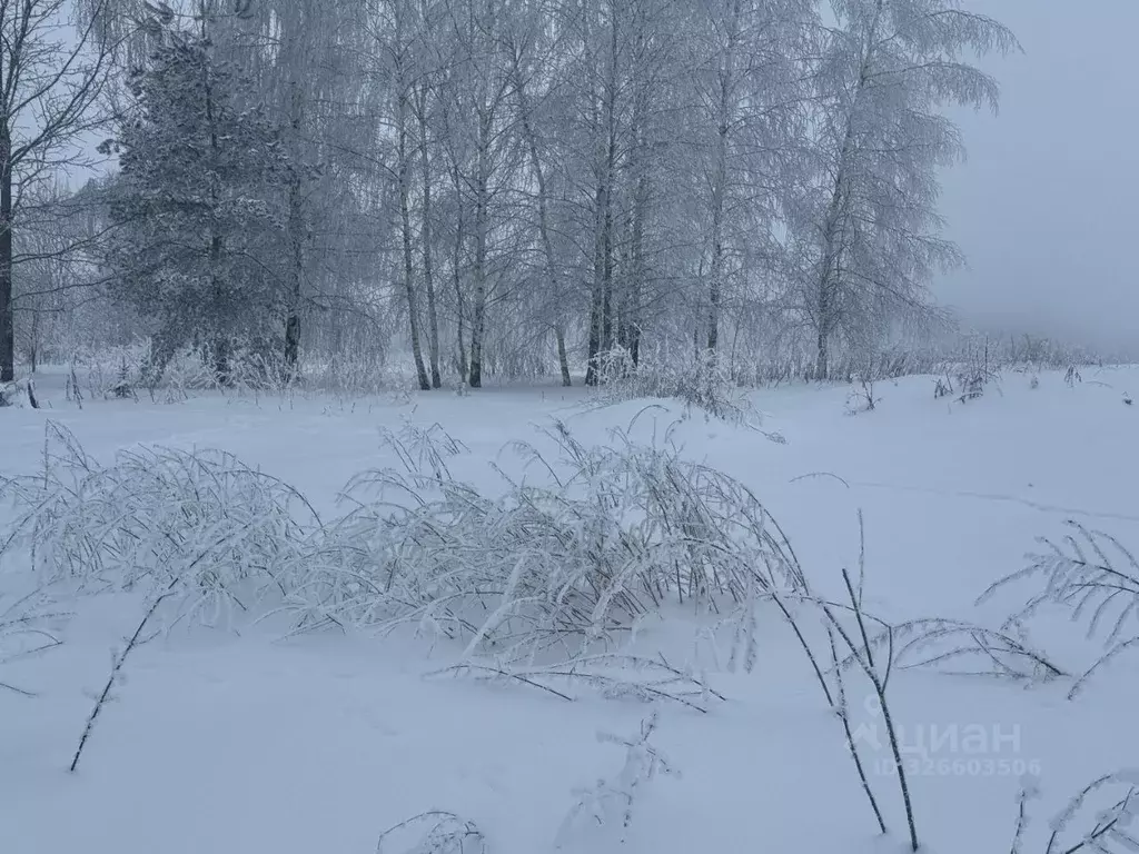 Участок в Московская область, Клин городской округ, д. Княгинино ул. ... - Фото 2