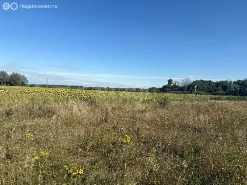 Участок в Ломовское сельское поселение, село Ломово (70 м) - Фото 1