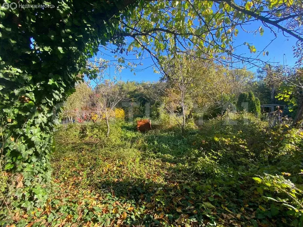 Участок в Севастополь, Балаклавский муниципальный округ, садовое ... - Фото 1