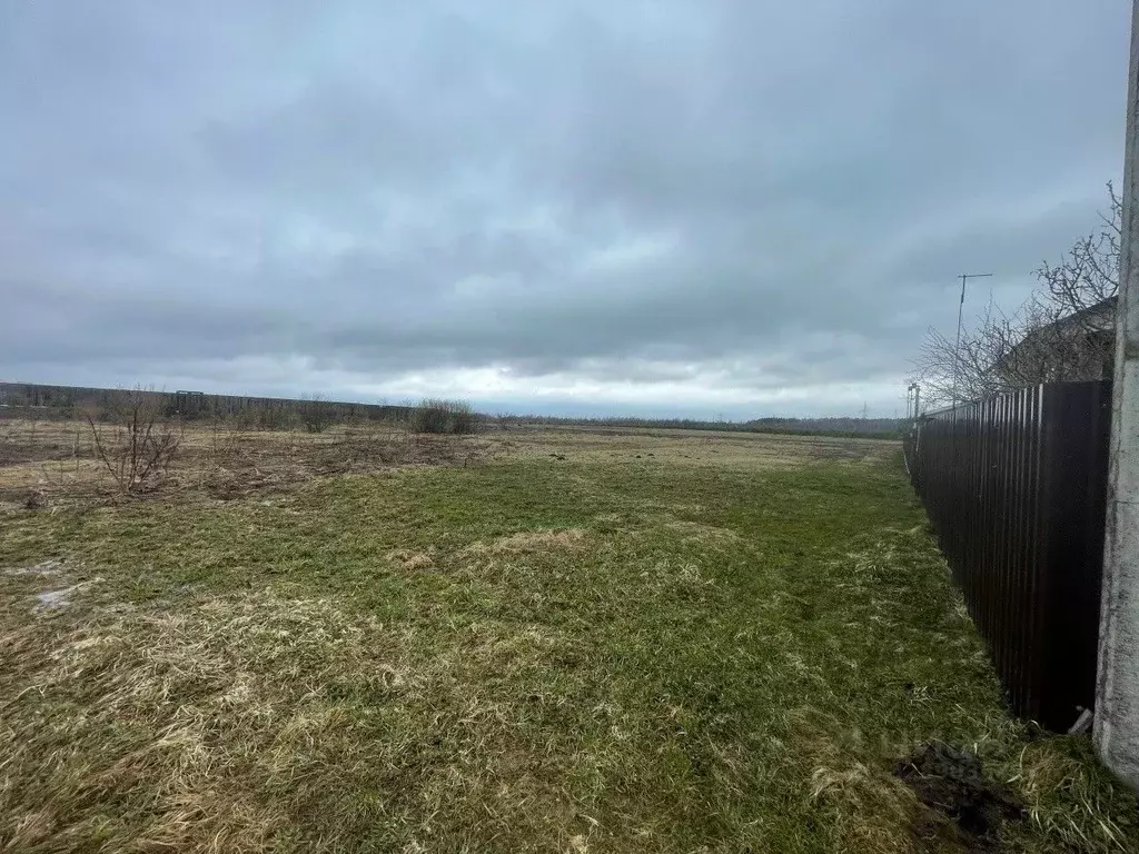 Участок в Московская область, Егорьевск муниципальный округ, д. Сурово ... - Фото 2