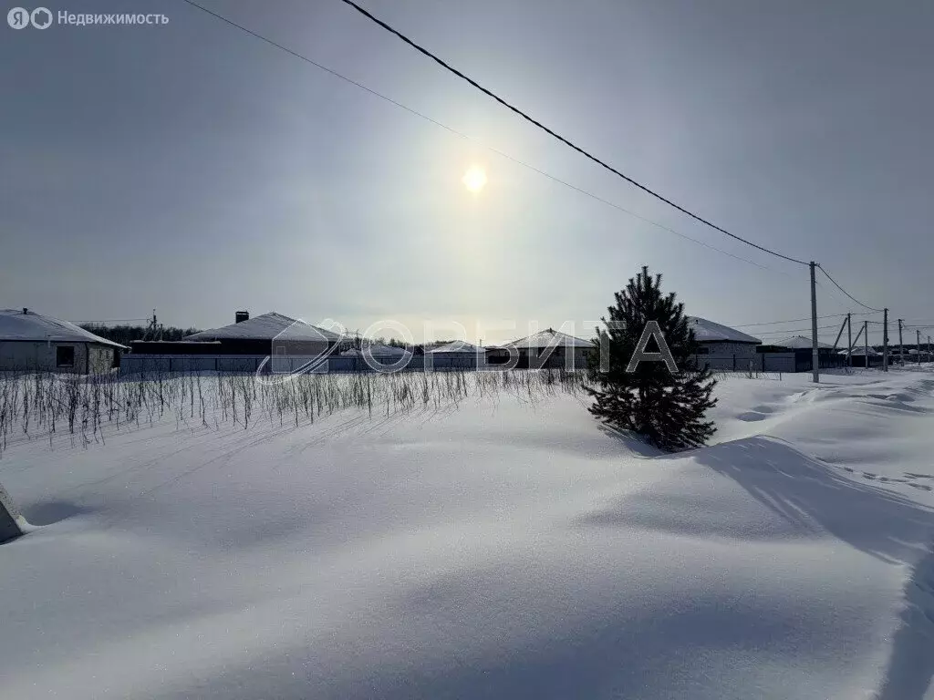Участок в Тюменский муниципальный округ, деревня Решетникова (5.3 м) - Фото 2