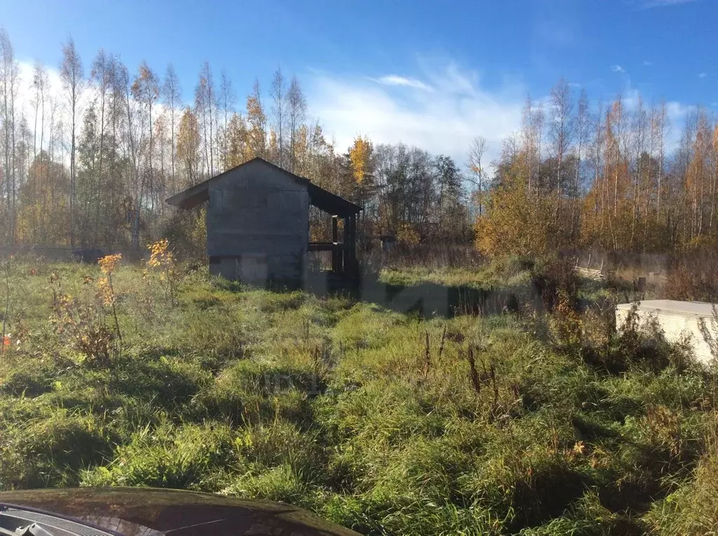 Купить Дом Ижс В Кингисеппском Районе