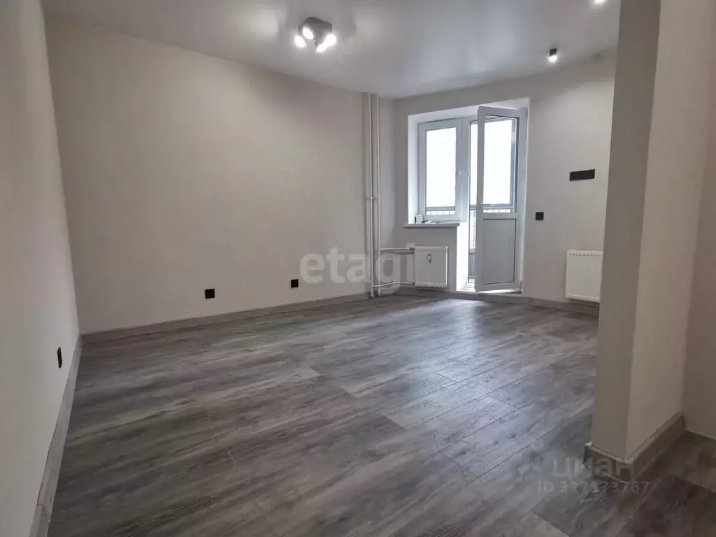 Студия Санкт-Петербург Заневский просп., 42 (24.8 м) - Фото 1