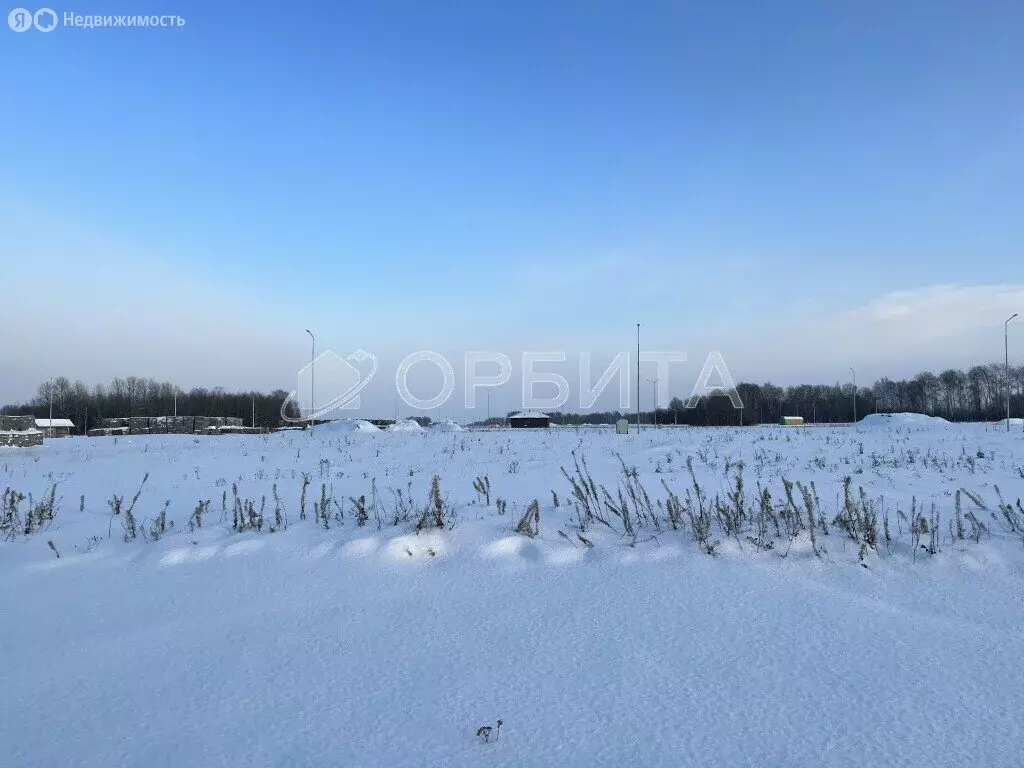 Участок в Тюмень, садовое товарищество Липовый Остров (40 м) - Фото 0