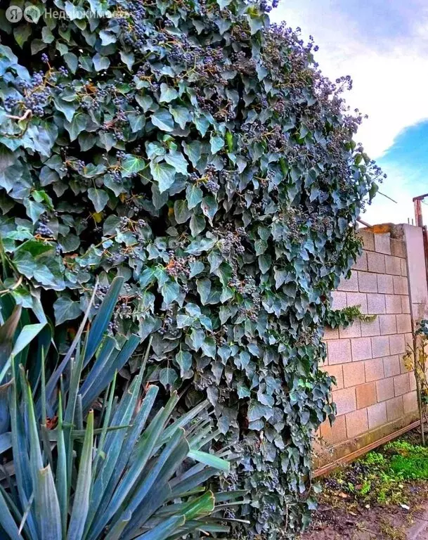 3-комнатная квартира: Судак, Алуштинская улица, 5 (65 м) - Фото 1