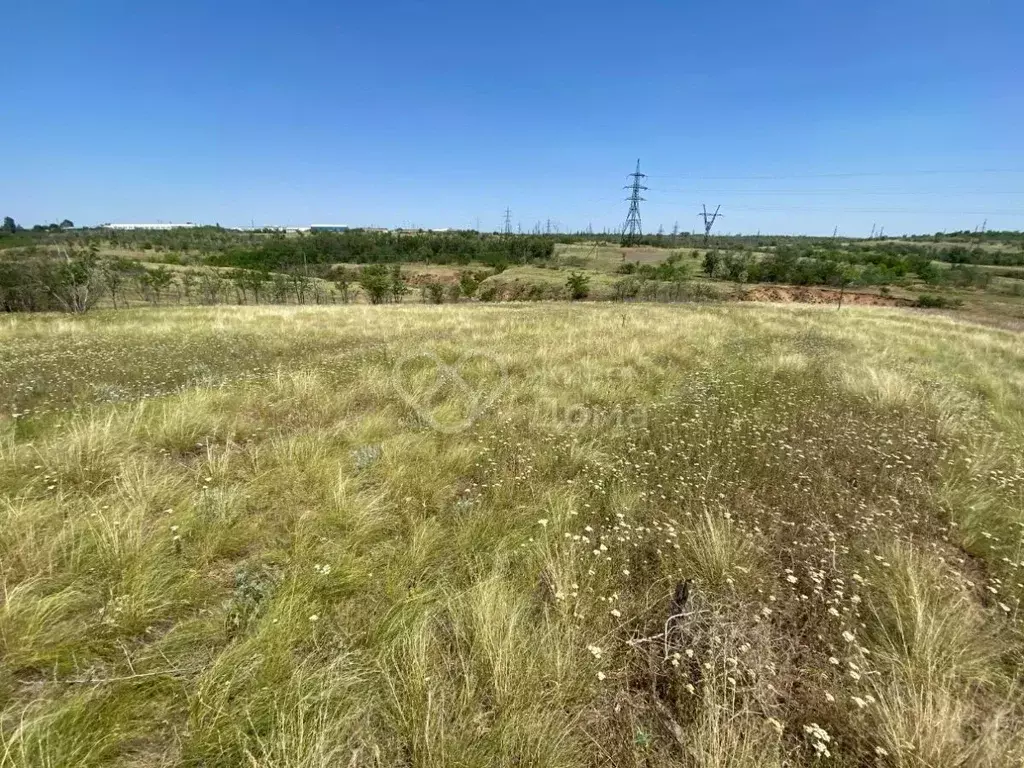Участок в Волгоградская область, Городищенский район, Царицынское ... - Фото 0