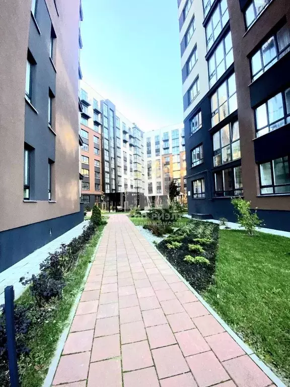 Студия Калининградская область, Калининград Арсенальная ул., 31к2 ... - Фото 1