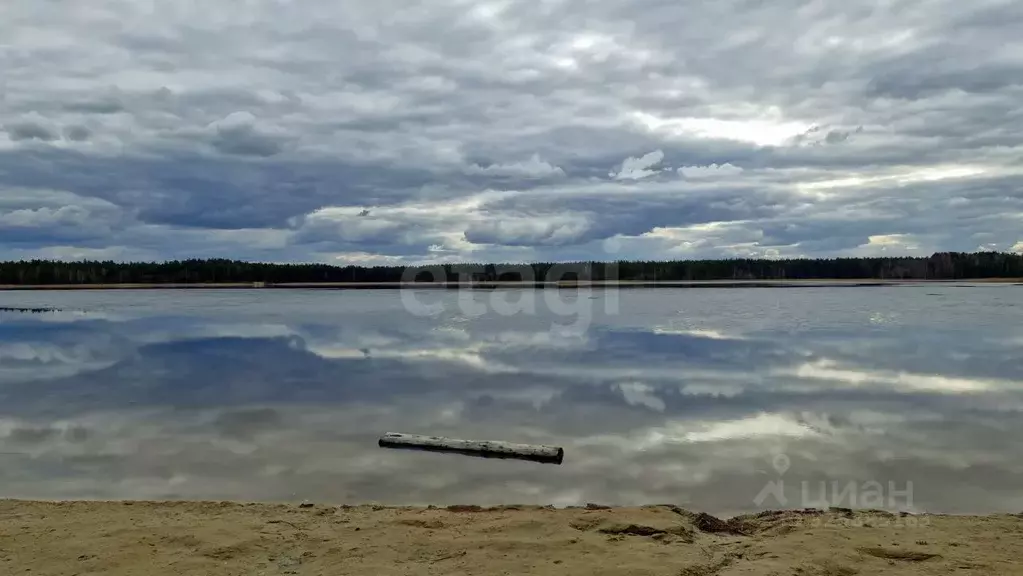 Участок в Нижегородская область, Навашинский муниципальный округ, с. ... - Фото 1