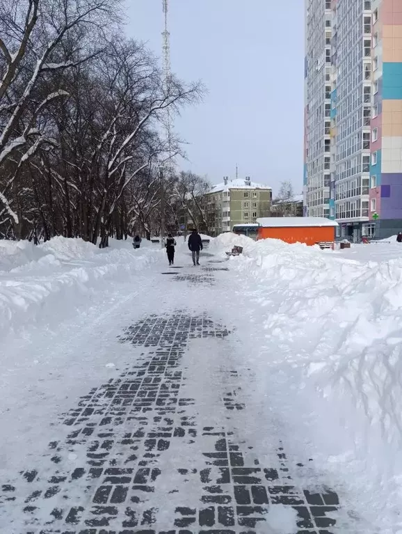 2-к кв. Пермский край, Пермь ул. Крупской, 69/1 (46.1 м) - Фото 2