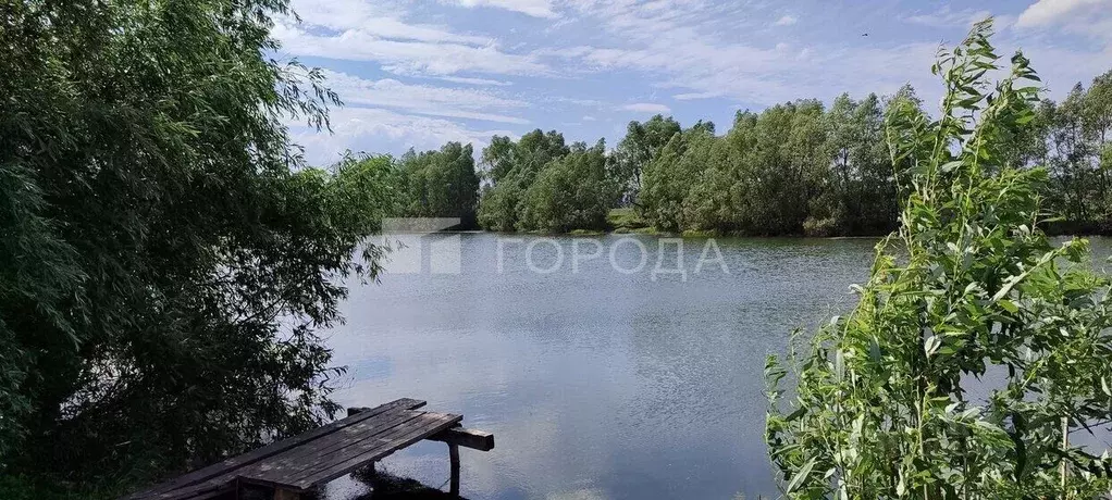 Участок в Новосибирская область, Новосибирский район, Морской ... - Фото 0