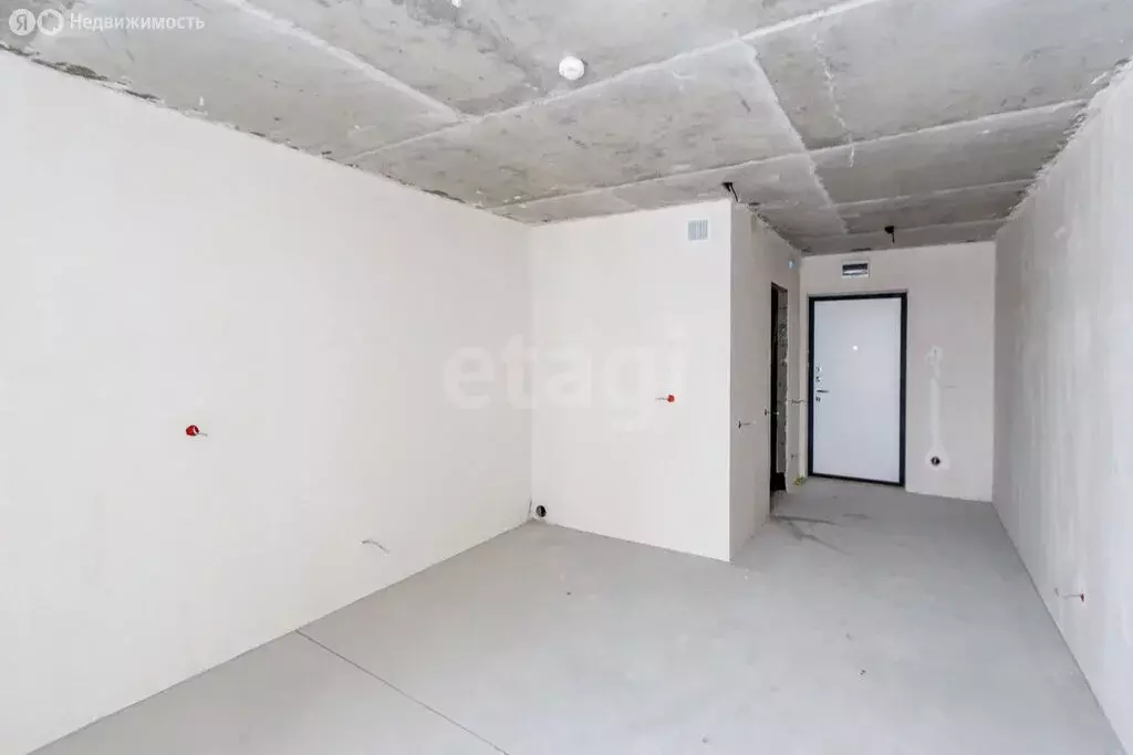 Квартира-студия: деревня Патрушева, улица Александра Пушкина, 14 (23.4 ... - Фото 2