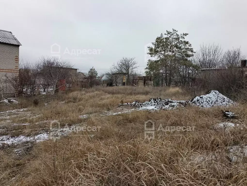 Участок в Волгоградская область, Светлоярский район, Червленовское ... - Фото 0