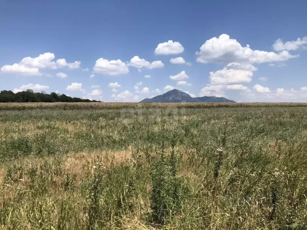 Участок в Ставропольский край, Предгорный муниципальный округ, с. ... - Фото 1