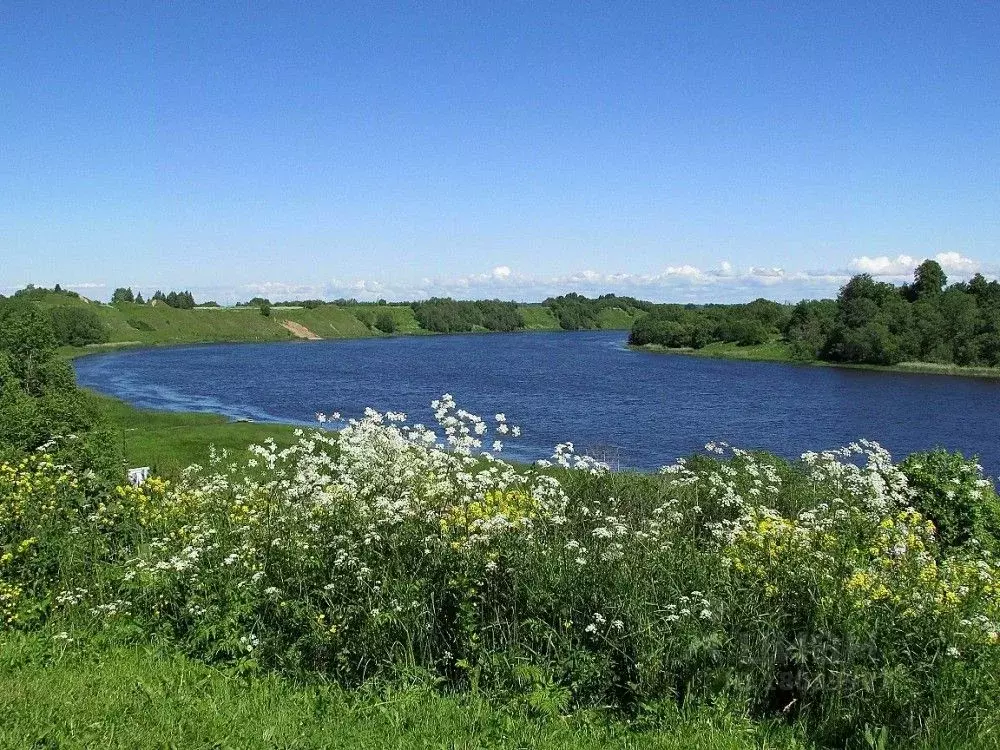 Участок в Новгородская область, Новгородский район, Савинское с/пос, ... - Фото 0