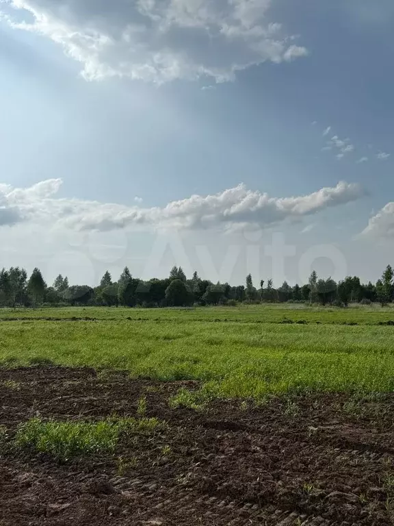 Участок 7,5 сот. (ИЖС) - Фото 0