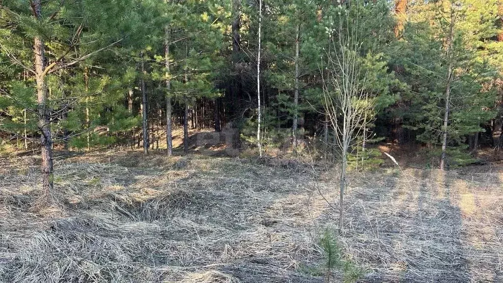 Участок в Татарстан, Казань  (15.0 сот.) - Фото 1