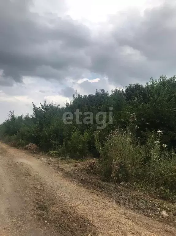 Участок в Карачаево-Черкесия, Черкесск ул. 70 лет Победы (6.0 сот.) - Фото 1