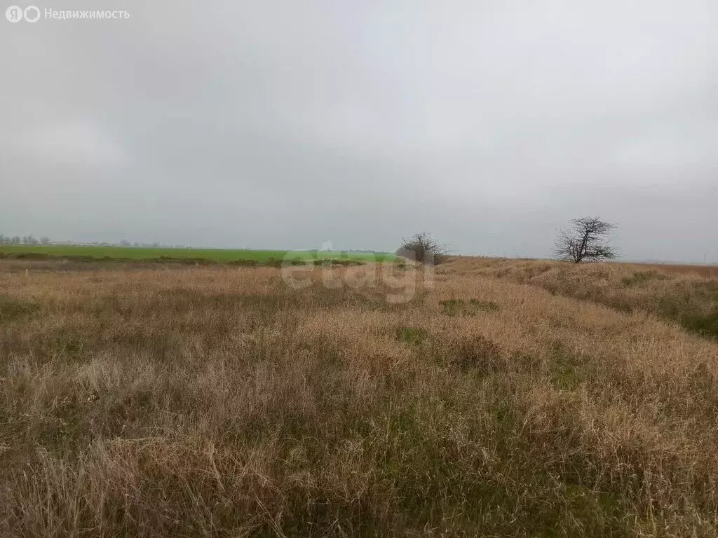 Участок в село Лесновка, Садовая улица (6 м) - Фото 1