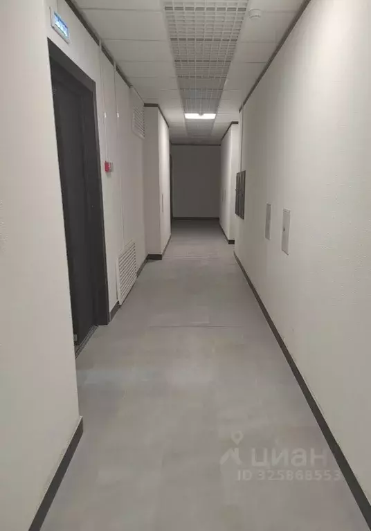 2-к кв. Алтайский край, Барнаул городской округ, Южный рп тракт Южный, ... - Фото 2