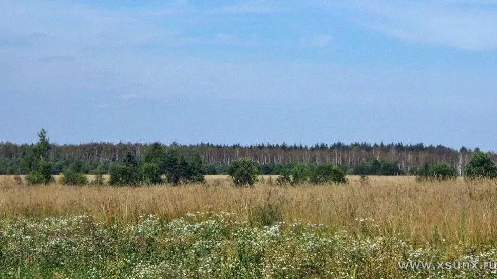 Участок в Московская область, Мытищи городской округ, д. Степаньково, ... - Фото 0