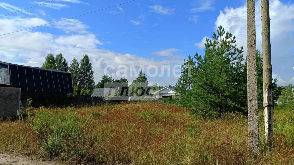 Участок в Марий Эл, Медведевский район, Куярское с/пос, Чодра СНТ 132 ... - Фото 2