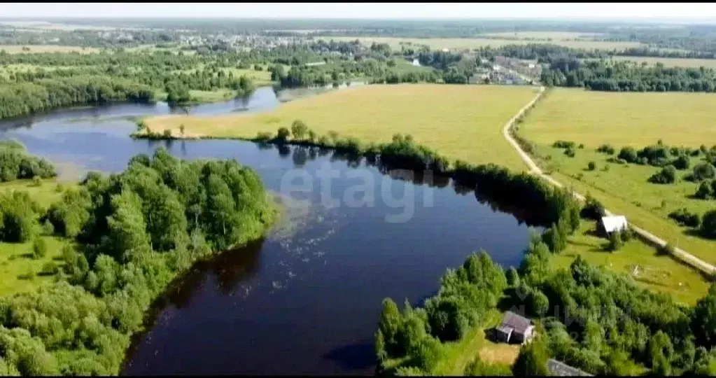 Участок в Ярославская область, Пошехонский муниципальный округ, ... - Фото 1