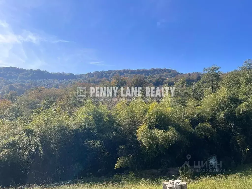 Участок в Краснодарский край, Сочи городской округ, с. Каштаны, ... - Фото 2