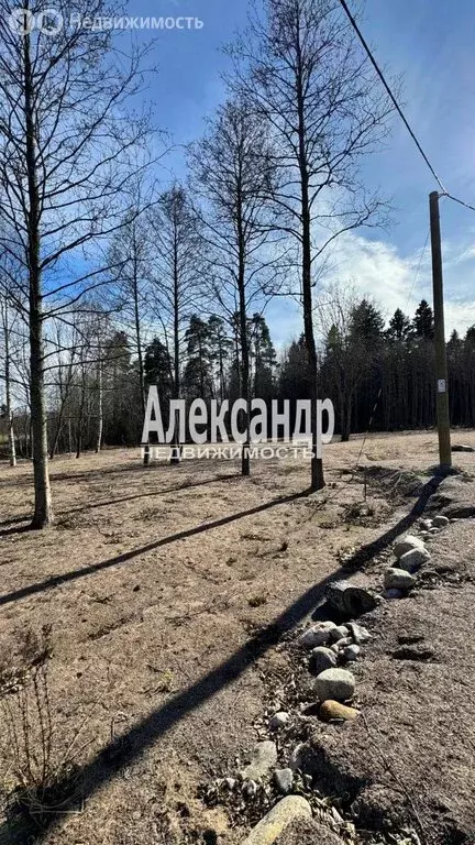 Участок в Приозерский район, Ларионовское сельское поселение, посёлок ... - Фото 1