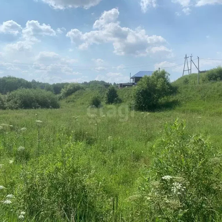 Участок в Кемеровская область, Кемеровский муниципальный округ, д. ... - Фото 2