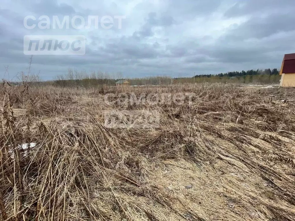 участок в ленинградская область, тосненский район, любанское городское . - Фото 1