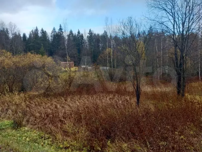 Участки в приозерском районе