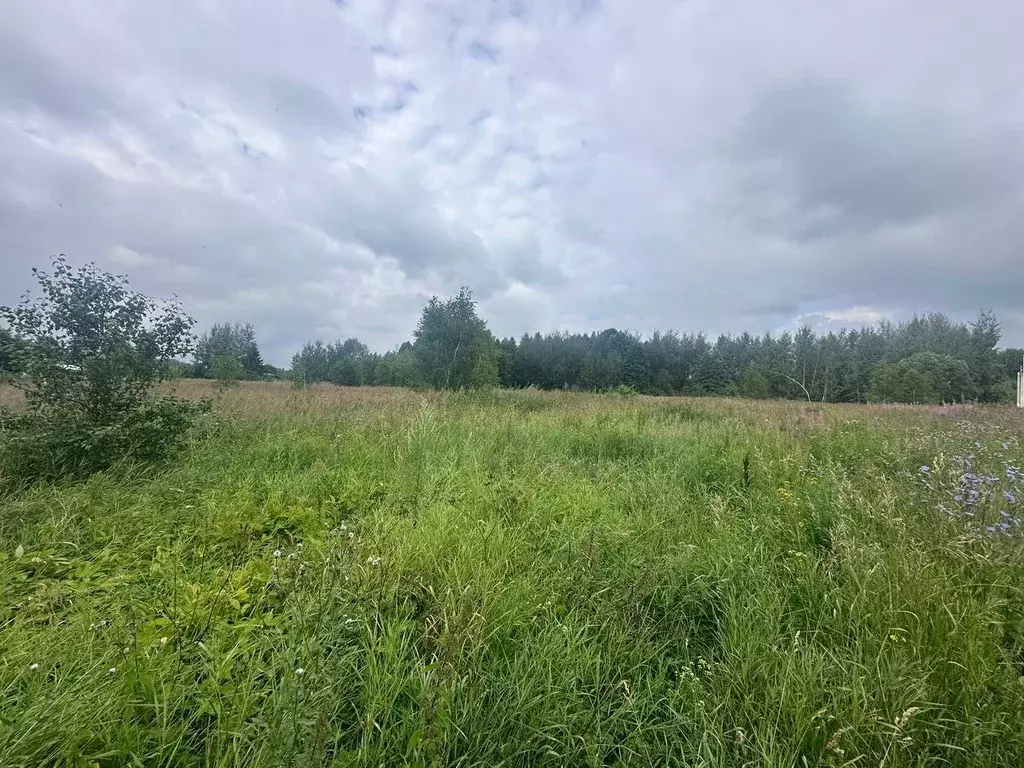Участок в Московская область, Богородский городской округ, д. Кашино ... - Фото 1