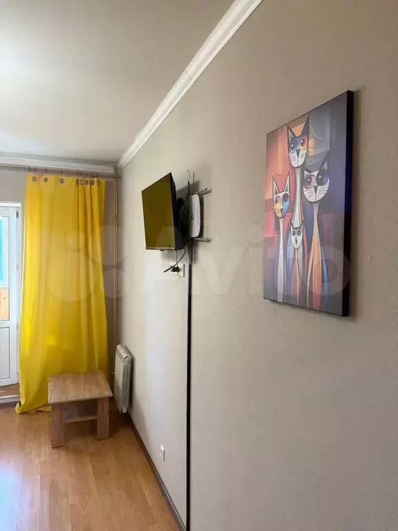 1-к. квартира, 25 м, 6/16 эт. - Фото 0