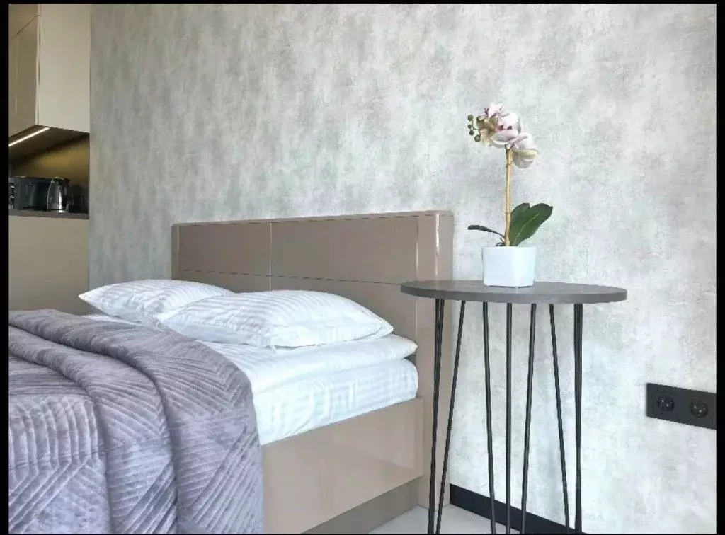 1-к кв. Краснодарский край, Сочи Светлана мкр, ул. Депутатская, 10Б/1 ... - Фото 0