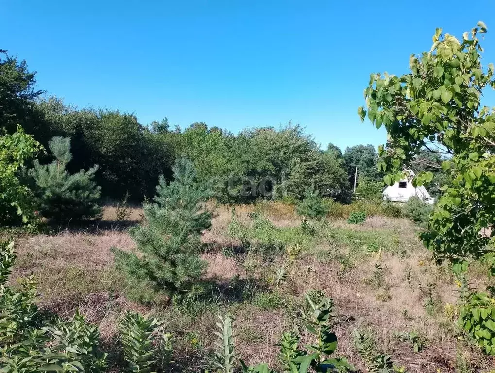 Участок в Белгородская область, Белгородский район, Головинское с/пос, ... - Фото 1