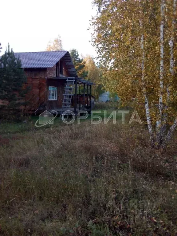 Участок в Тюменская область, Нижнетавдинский район, Геолог-2 СНТ 5-я ... - Фото 0