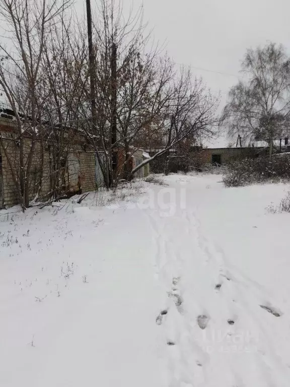 Склад в Белгородская область, Валуйки ул. Курячего, 1/61 (24 м) - Фото 0