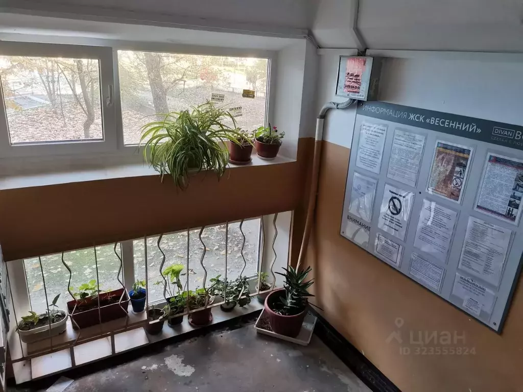 1-к кв. Ростовская область, Ростов-на-Дону 2-я Краснодарская ул. (31.1 ... - Фото 2