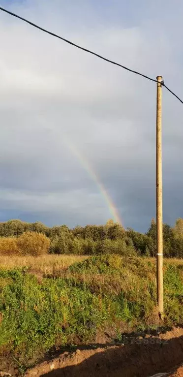 Участок в Ленинградская область, Волховский район, Вындиноостровское ... - Фото 1