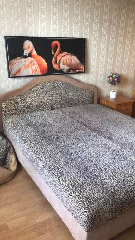 Студия Санкт-Петербург Варшавская ул., 19к5 (25.1 м) - Фото 1