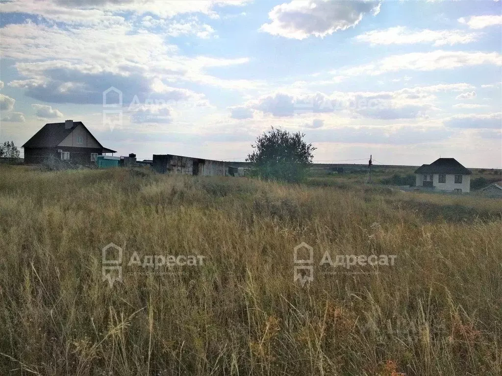 Участок в Волгоградская область, Городищенский район, Царицынское ... - Фото 1